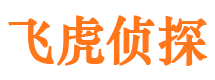 岳麓出轨调查